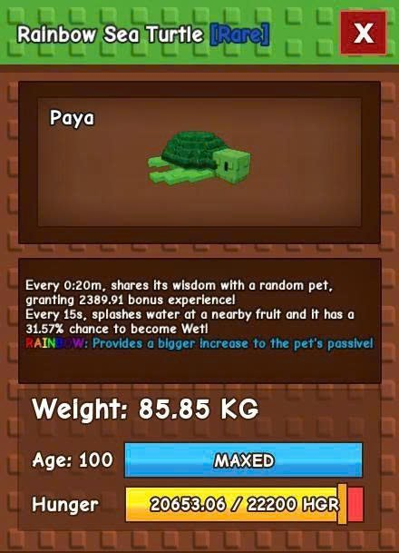 Titan Sea Turtle 20s