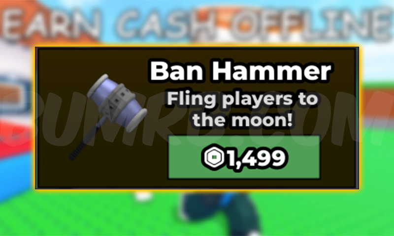 Ban Hamer